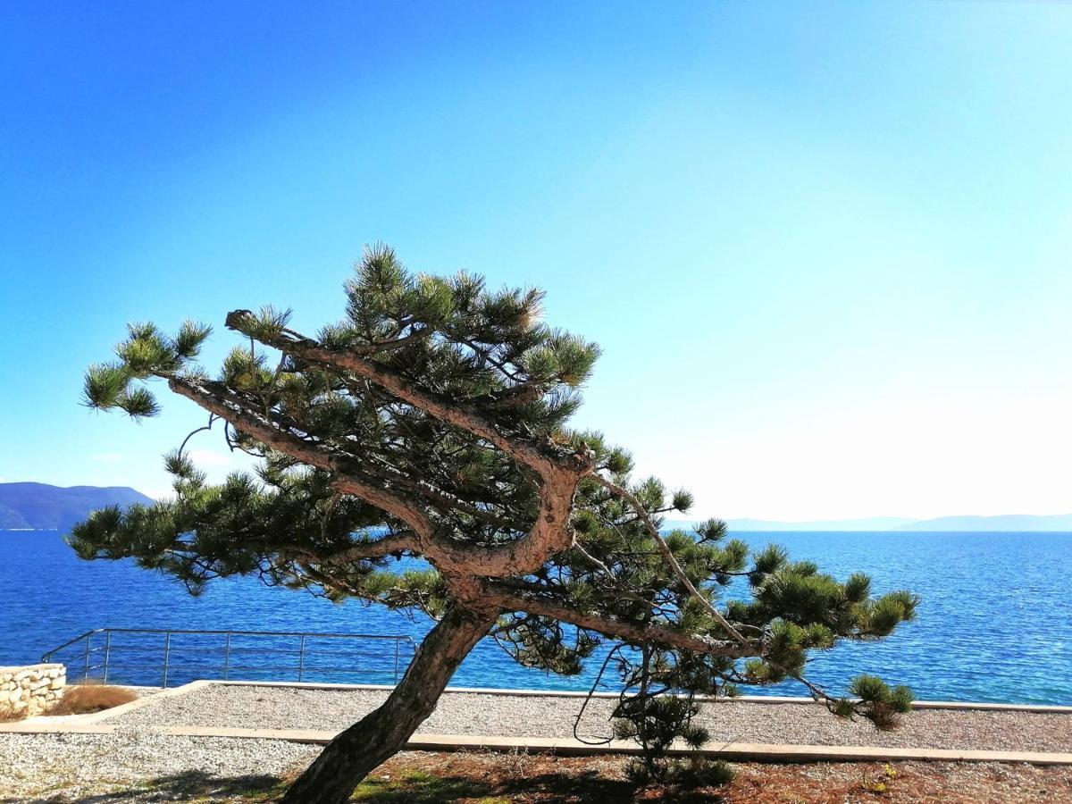 Apartment Suzie Q - Intermezzo With Sea View Rabac Exterior photo